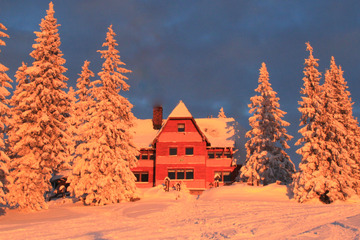 Niedzielne popołudnie